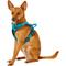 Show in main carousel: Chai's Choice Premium Outdoor Adventure 3M Polyester Reflective Front Clip Dog Harness, Teal Blue, X-Small: 13 to 17-in chest slide 4 of 13