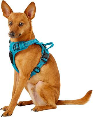 Show full view: Chai's Choice Premium Outdoor Adventure 3M Polyester Reflective Front Clip Dog Harness, Teal Blue, X-Small: 13 to 17-in chest slide 4 of 13