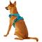 Show in main carousel: Chai's Choice Premium Outdoor Adventure 3M Polyester Reflective Front Clip Dog Harness, Teal Blue, X-Small: 13 to 17-in chest slide 5 of 13