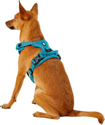 Show full view: Chai's Choice Premium Outdoor Adventure 3M Polyester Reflective Front Clip Dog Harness, Teal Blue, X-Small: 13 to 17-in chest slide 5 of 13
