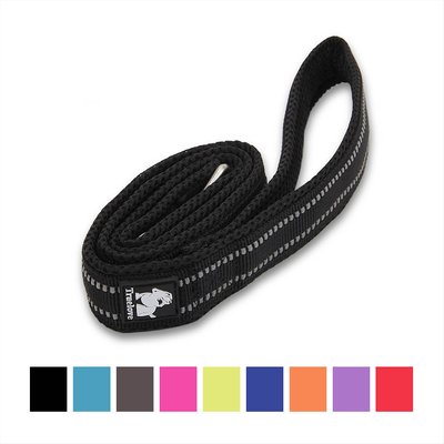 Chai's Choice Chai's Choice Premium Outdoor Adventure Padded 3M Polyester Reflective Dog Leash, Black, 3.6-ft long, 1-in wide