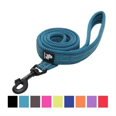 Chai's Choice Chai's Choice Premium Outdoor Adventure Padded 3M Polyester Reflective Dog Leash, Blue, 3.6-ft long, 1-in wide