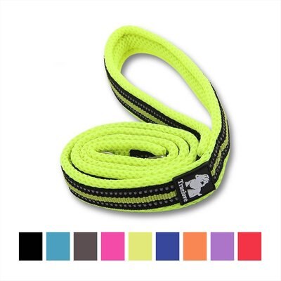 Chai's Choice Chai's Choice Premium Outdoor Adventure Padded 3M Polyester Reflective Dog Leash, Green, 3.6-ft long, 1-in wide