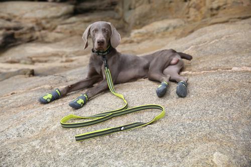 Show full view: Chai's Choice Premium Outdoor Adventure Padded 3M Polyester Reflective Dog Leash, Green, 3.6-ft long, 4/5-in wide slide 4 of 8