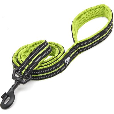 Chai's Choice Chai's Choice Premium Outdoor Adventure Padded 3M Polyester Reflective Dog Leash, Green, 6.5-ft long, 1-in wide