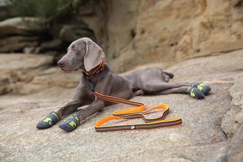 Show full view: Chai's Choice Premium Outdoor Adventure Padded 3M Polyester Reflective Dog Leash, Orange, 6.5-ft long, 1-in wide slide 3 of 7