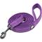 Show in main carousel: Chai's Choice Premium Outdoor Adventure Padded 3M Polyester Reflective Dog Leash, Purple, 6.5-ft long, 1-in wide slide 1 of 7