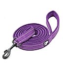 Chai's Choice Premium Outdoor Adventure Padded 3M Polyester Reflective Dog Leash, Purple, 6.5-ft long, 1-in wide