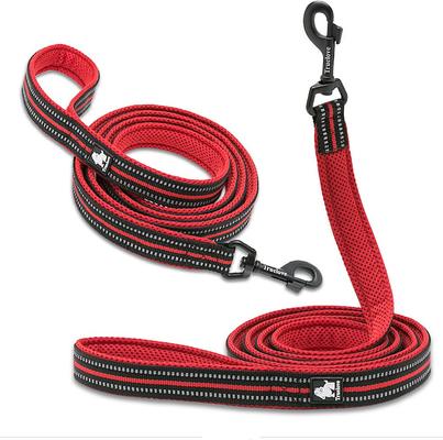 Show full view: Chai's Choice Premium Outdoor Adventure Padded 3M Polyester Reflective Dog Leash, Red, 6.5-ft long, 4/5-in wide slide 3 of 8