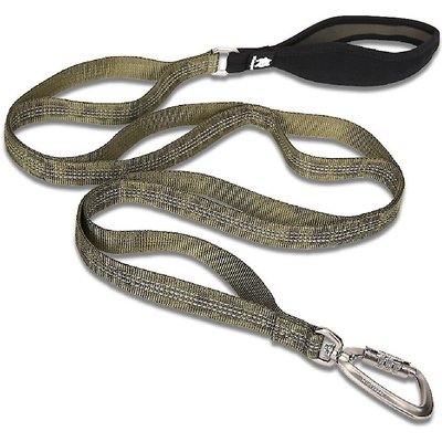 Chai's Choice Chai's Choice Premium Trail Runner Multi Handle Heavy Duty Training Polyester Reflective Dog Leash, Army Green, Large: 4.5-ft long, 1-in wide