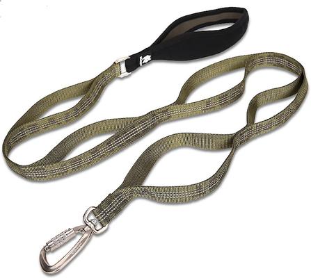 Show full view: Chai's Choice Premium Trail Runner Multi Handle Heavy Duty Training Polyester Reflective Dog Leash, Army Green, Large: 4.5-ft long, 1-in wide slide 2 of 7