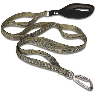 Chai's Choice Chai's Choice Premium Trail Runner Multi Handle Heavy Duty Training Polyester Reflective Dog Leash, Army Green, Medium: 4.5-ft long, 4/5-in wide