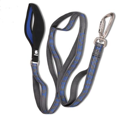 Show full view: Chai's Choice Premium Trail Runner Multi Handle Heavy Duty Training Polyester Reflective Dog Leash, Blue/Gray, Large: 4.5-ft long, 1-in wide slide 3 of 8