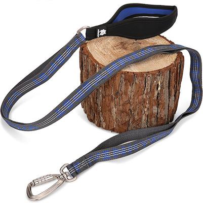 Show full view: Chai's Choice Premium Trail Runner Multi Handle Heavy Duty Training Polyester Reflective Dog Leash, Blue/Gray, Large: 4.5-ft long, 1-in wide slide 4 of 8