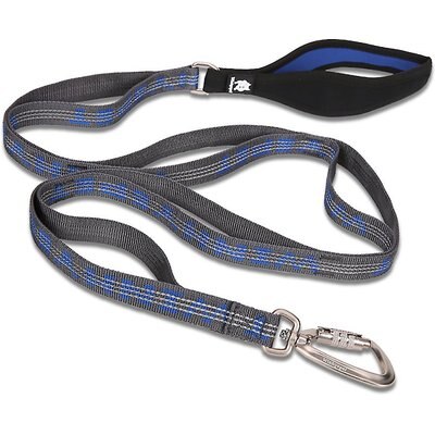 Chai's Choice Chai's Choice Premium Trail Runner Multi Handle Heavy Duty Training Polyester Reflective Dog Leash, Blue/Gray, Medium: 4.5-ft long, 4/5-in wide