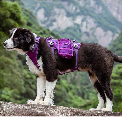 Show full view: Chai's Choice Rover Scout High-Performance Tactical Military Backpack Waterproof Dog Harness, Army Green, Large: 27 to 32-in chest slide 6 of 10