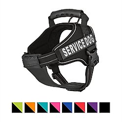 Chai's Choice Service Dog Harness, Black, Medium: 23 to 30-in chest