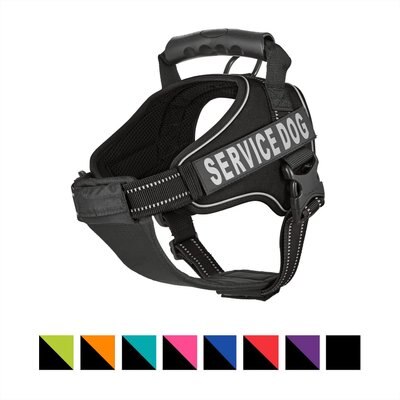Chai's Choice Chai's Choice Service Dog Harness, Black, Medium: 23 to 30-in chest