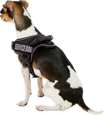 Show full view: Chai's Choice Service Dog Harness, Black, Small: 19.5 to 26.5-in chest slide 5 of 11