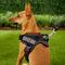 Show in main carousel: Chai's Choice Service Dog Harness, Black, Small: 19.5 to 26.5-in chest slide 6 of 11