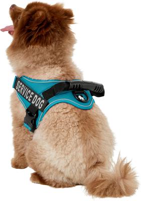 Show full view: Chai's Choice Service Dog Harness, Blue, Medium: 23 to 30-in chest slide 4 of 11