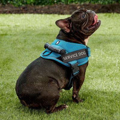 Show full view: Chai's Choice Service Dog Harness, Blue, Medium: 23 to 30-in chest slide 6 of 11