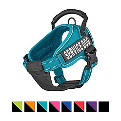 Chai's Choice Service Dog Harness, Blue, Small: 19.5 to 26.5-in chest