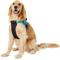 Show in main carousel: Chai's Choice Service Dog Harness, Blue, X-Large: 28 to 38-in chest slide 4 of 11