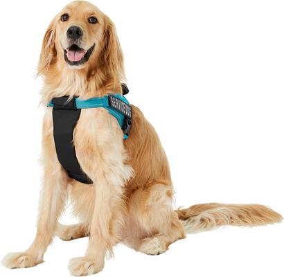 Show full view: Chai's Choice Service Dog Harness, Blue, X-Large: 28 to 38-in chest slide 4 of 11