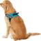 Show in main carousel: Chai's Choice Service Dog Harness, Blue, X-Large: 28 to 38-in chest slide 5 of 11