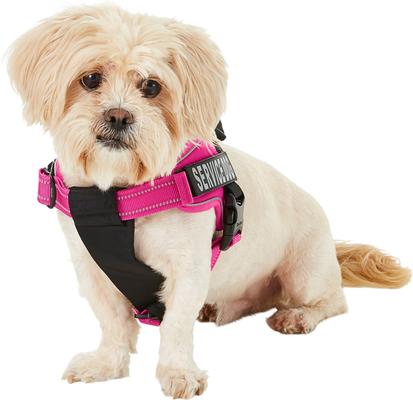 Chai's Choice Service Dog Harness
