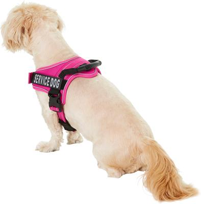 Show full view: Chai's Choice Service Dog Harness, Fuchsia, Small: 19.5 to 26.5-in chest slide 4 of 10