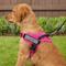 Show in main carousel: Chai's Choice Service Dog Harness, Fuchsia, Small: 19.5 to 26.5-in chest slide 5 of 10