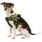Show in main carousel: Chai's Choice Service Dog Harness, Lemon Lime, Small: 19.5 to 26.5-in chest slide 3 of 10