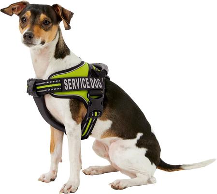 Show full view: Chai's Choice Service Dog Harness, Lemon Lime, Small: 19.5 to 26.5-in chest slide 3 of 10