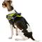 Show in main carousel: Chai's Choice Service Dog Harness, Lemon Lime, Small: 19.5 to 26.5-in chest slide 4 of 10