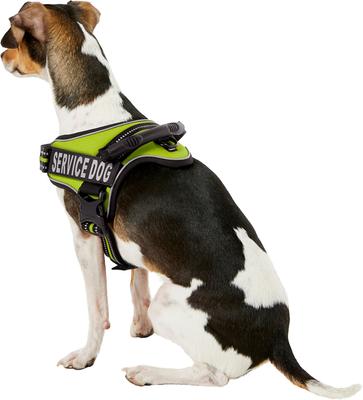 Show full view: Chai's Choice Service Dog Harness, Lemon Lime, Small: 19.5 to 26.5-in chest slide 4 of 10