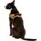 Show in main carousel: Chai's Choice Service Dog Harness, Orange, Large: 25 to 33.5-in chest slide 4 of 10