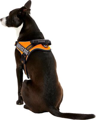 Show full view: Chai's Choice Service Dog Harness, Orange, Large: 25 to 33.5-in chest slide 4 of 10