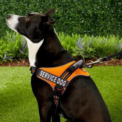 Show full view: Chai's Choice Service Dog Harness, Orange, Large: 25 to 33.5-in chest slide 5 of 10