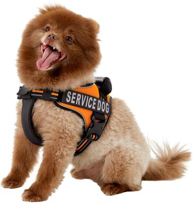Show full view: Chai's Choice Service Dog Harness, Orange, Medium: 23 to 30-in chest slide 3 of 10