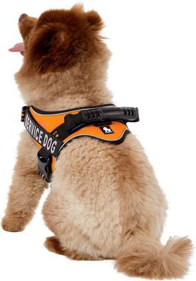 Show full view: Chai's Choice Service Dog Harness, Orange, Medium: 23 to 30-in chest slide 4 of 10