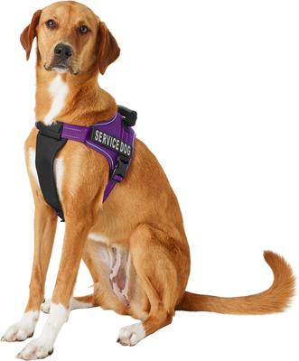 Show full view: Chai's Choice Service Dog Harness, Purple, Large: 25 to 33.5-in chest slide 4 of 12