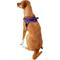 Show in main carousel: Chai's Choice Service Dog Harness, Purple, Large: 25 to 33.5-in chest slide 5 of 12