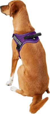 Show full view: Chai's Choice Service Dog Harness, Purple, Large: 25 to 33.5-in chest slide 5 of 12