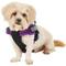 Show in main carousel: Chai's Choice Service Dog Harness, Purple, Small: 19.5 to 26.5-in chest slide 3 of 11