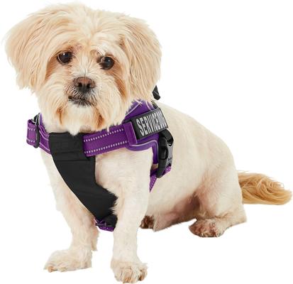Show full view: Chai's Choice Service Dog Harness, Purple, Small: 19.5 to 26.5-in chest slide 3 of 11