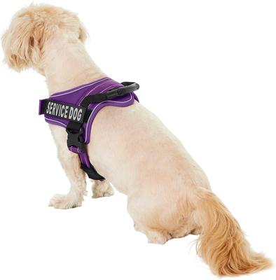 Show full view: Chai's Choice Service Dog Harness, Purple, Small: 19.5 to 26.5-in chest slide 4 of 11