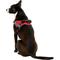 Show in main carousel: Chai's Choice Service Dog Harness, Red, Large: 25 to 33.5-in chest slide 4 of 11