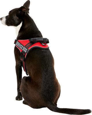 Show full view: Chai's Choice Service Dog Harness, Red, Large: 25 to 33.5-in chest slide 4 of 11